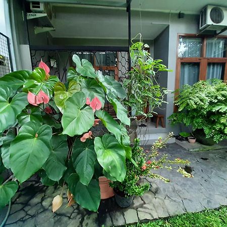 Rumah566 ジョグジャカルタ エクステリア 写真