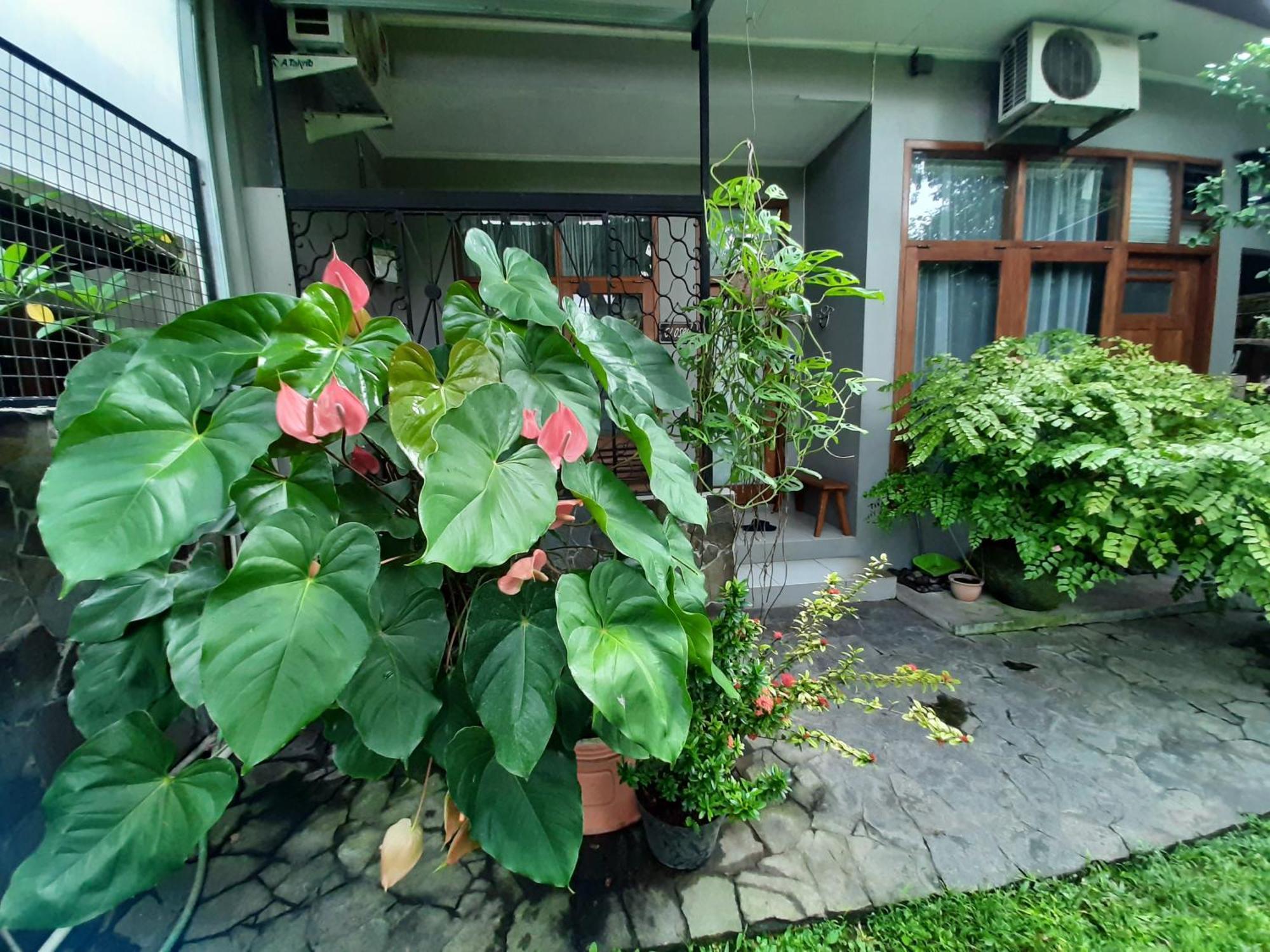 Rumah566 ジョグジャカルタ エクステリア 写真